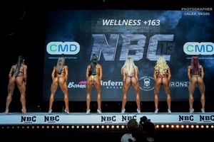 WELLNESS +163
